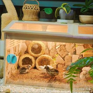 Jaula Moderna Portátil de Madera para Hámster con Techo Abierto, Casa para Mascotas Pequeñas, para Cobayas, con Lámina Acrílica - Product Image 4