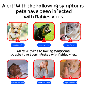 <span class=keywords><strong>Kit</strong></span> de <span class=keywords><strong>test</strong></span> rapide d'antigène de virus du rabie canin pour détecter les maladies du chien RBV <span class=keywords><strong>Ag</strong></span> Instrument vétérinaire - Product Image 3