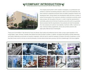 תמצית עלי מוריגה אורגנית, אבקת עלי מוריגה, ייצור לפי דרישת הלקוח (OEM/ODM) - Product Image 6