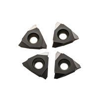Carbide Threading Inserts PVD Coated OEM Indexable Turning Inserts 16VER 16VIR AG60 AG55 22VER 22VIR N60 Metal Cutting