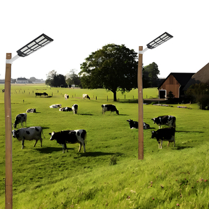 Mới đến cảm ứng lớn Đèn năng lượng mặt trời cho nhà - Product Image 4