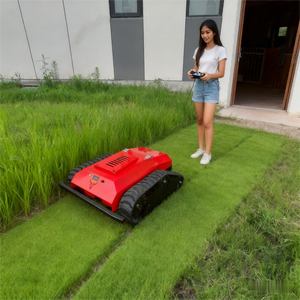 Cortadora de Césped de 7.5Hp con Certificado CE EPA para Campos de Golf - Product Image 5