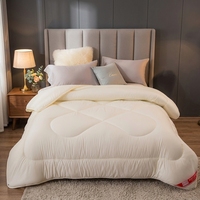 Couettes et ensembles de literie chauds en tissu et rembourrage polyester pour hôtels et maisons d'hôtes – Vente en gros et support MOQ
