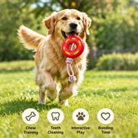 Jouet pour chien en forme d'anneau avec corde nouée pour tirer la balle, jouet interactif à mâcher pour chien