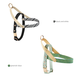 カスタムロゴ犬用ハーネス軽量ファッションPVCクリエイティブフラットウェビングパターン犬用ウォーキングスポーツランニングアウトドアハーネス - Product Image 2