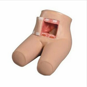 Aides pédagogiques médicales Modèle de formation avancée à la défécation et à la défécation Modèle de lavement de défécation Modèle de soins <span class=keywords><strong>infirmiers</strong></span> médicaux - Product Image 1