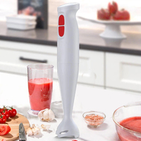 Mixeur Électrique Portable 300W, Hachoir à Fruits Puissant pour Préparer des Milkshakes