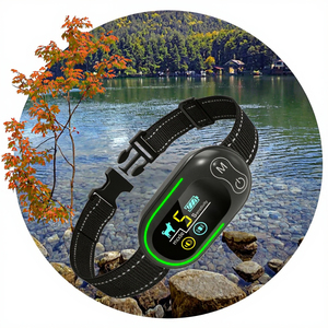 <span class=keywords><strong>Collier</strong></span> <span class=keywords><strong>anti</strong></span>-<span class=keywords><strong>aboiement</strong></span> pour chien sans choc électrique, rechargeable, étanche, avec écran LCD, modes d'entraînement par vibration et son - Product Image 2