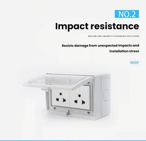 IP55 आउटडोर हमसे/th डुप्लेक्स दीवार आउटलेट वाटरप्रूफ और डस्टप्रूफ बॉक्स विद्युत आउटलेट 2 गैंग स्विच्ड सॉकेट कवर - Product Image 5