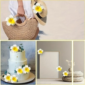 Têtes de fleurs artificielles en mousse de frangipanier hawaïen en gros, décorations économiques pour robes, maisons, fêtes et mariages, têtes de fleurs artificielles DKB - Product Image 4