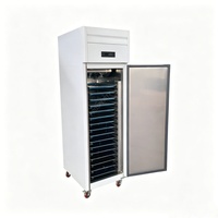 Refrigerador Comercial Vertical de Acero Inoxidable de Una Puerta, Enfriado por Aire, con Bandeja para Exhibición de Bandejas GN