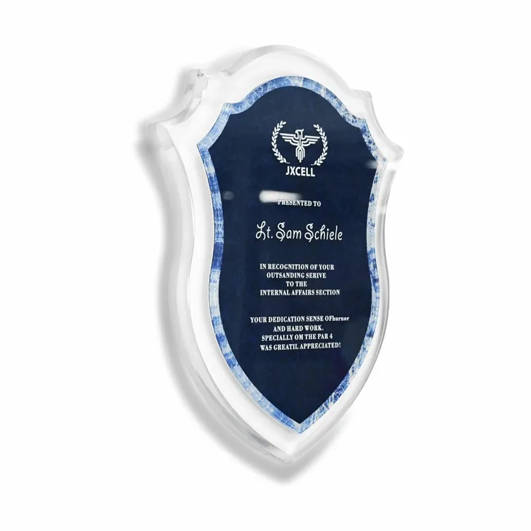 APEX Grosir Penghargaan Piala Akrilik Logo Kustom Plakat Gantungan Dinding