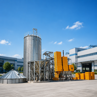 Machine automatique de précuisson du riz avec échangeur de chaleur, capacité de 5 à 180 tonnes/jour, options de financement et de location, support technique et formation