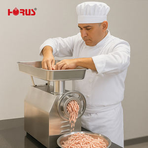 Picadora de <span class=keywords><strong>Carne</strong></span> Industrial Horus TK-32, Máquina Picadora de <span class=keywords><strong>Carne</strong></span>, Molinillo de <span class=keywords><strong>Carne</strong></span> Eléctrico con Cuerpo de Acero Inoxidable en Venta - Product Image 1