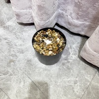 Pot Bunga Plastik Laris Manis dengan Batu, Mudah, Cepat, Praktis, Harga Pabrik, Terjangkau