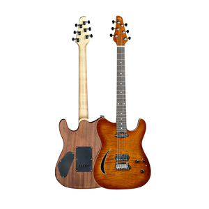 <span class=keywords><strong>Guitare</strong></span> électrique semi-hollow WaveGarden E20TL - Prise en charge OEM/ODM - Product Image 2