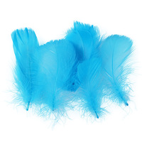 Lot de 100 Plumes d'Oie Colorées en Gros pour Décoration Flottante Intérieure, Mariages, Festivals et Scènes, Idéal pour les Fêtes