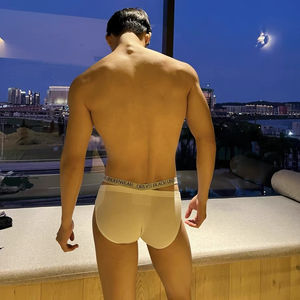 Ropa interior <span class=keywords><strong>ORLVS</strong></span> para hombre, calzoncillos de algodón para hombre, calzoncillos cómodos Sexy Gay, Tanga de seda helada para hombre, bragas Phot - Product Image 3