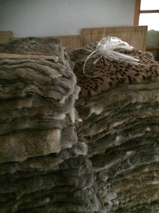 Chính hãng Tây Ban Nha thỏ pelts màu sắc tự nhiên 9 mô hình mặc quần áo thỏ lông tấm với mặt sau tốt - Product Image 6