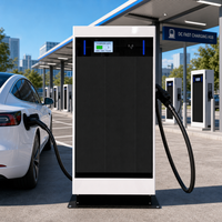 Cargador Rápido de CC para Vehículos Eléctricos de 160 kW, CCS, GBT, NACS, con Pantalla LED Grande y Pantalla Táctil de 7 Pulgadas para Áreas de Servicio en Carreteras, WrightCharge