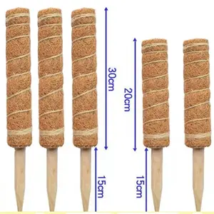 이끼 극 12 인치 16 인치 19 인치 정원 식물 지원 말뚝 코코 토템 스틱 식물