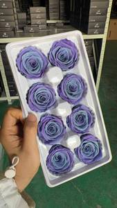 Wholesale Natural Forever <strong>Roses</strong> Multicolor Preserved Flower Preserved <strong>Rose</strong> Heads 4-5cm 5-6cm Factory Price New Year Christmas - Product Image 6