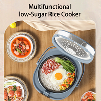 Cuiseur à riz à faible teneur en glucides 2L avec réservation multifonction Pot intérieur antiadhésif Séparation de la soupe de riz Style manuel en option