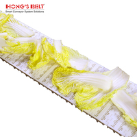 Hongsbelt 100b-hd Modulaire Plastic Transportband Modulaire Riem Voor Groente-En Fruitverwerkende Restaurants