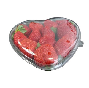 Rõ ràng nhỏ nhựa cầm tay Pill hộp du lịch cho bánh Mì rau tráng miệng Pastry bánh sandwich bao bì - Product Image 4