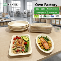 Assiettes jetables biodégradables légères en bois, modernes pour restaurants et fêtes, certifiées FDA