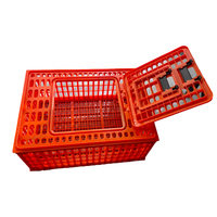Grande boîte de transport de poulet professionnelle caisse de poussin en plastique à bas prix pour usage agricole pour cage à volaille et pigeon