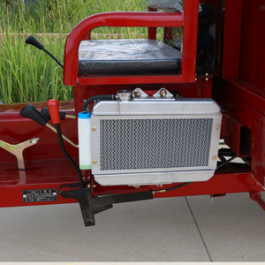 Sturdy 200cc Tricycle Motorcycle with <b>Gasoline</b> Power Manufacturer Direct for Efficient Logistics - Product Image 6