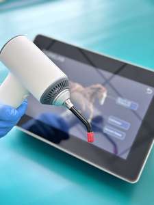 Class IV alat terapi Laser penghilang nyeri, peralatan tangan fisioterapi terapi Laser dokter hewan - Product Image 6
