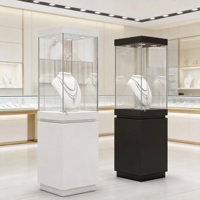 Vitrine de musée sur piétement noir brillant, vitrine sans cadre en verre trempé, éclairage chromé, présentoir minimaliste pour bijoux