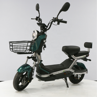 Bicicleta Eléctrica de Alta Velocidad de 800W con Motor sin Escobillas y Batería de Litio