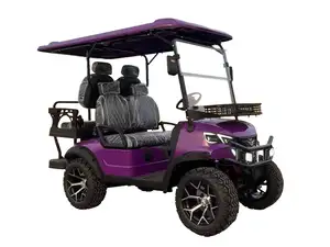 2023 Digno de Idéias De Produto Novo Levantado Carrinho De Golfe 2/4/6 Seater off Road Cart Golf Elétrico