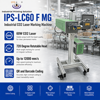 Imprimante de marquage laser CO2 IPS-LC60 F MG 60W, machine de marquage laser Galvo CO2 10,6 microns, haute précision, codage par balayage 2D