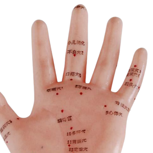 Modèle médical ADA 13CM PVC modèle d'acupuncture des mains illustrant les organes sur les points pour l'apprentissage des étudiants - Product Image 6