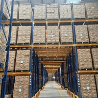 Rak Palet Baja 1000 kg Per Lapisan, Sistem Penyimpanan Balok yang Dapat Disesuaikan, Lapisan Bubuk, Gudang Industri