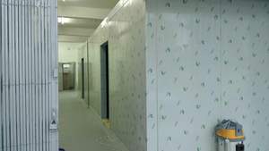 Cella Frigorifera di Alta Qualità per Prodotti Lattiero-Caseari e Pronti da Consumo - Product Image 6