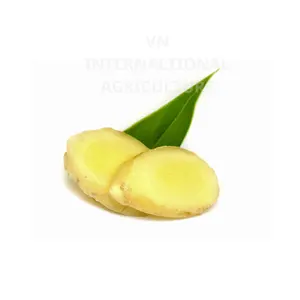 Our expertise lies in exporting young ginger and garlic, freshly harvested in Vietnam, ready for shipment at competitive prices.