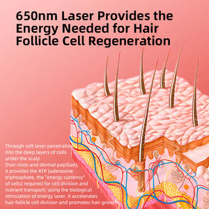 Gorro de Terapia de Luz Roja para el Crecimiento del Cabello, OEM ODM, Logotipo Personalizado, Dispositivo Láser para el Cuidado del Cabello, Masajeador para el Tratamiento de la Caída del Cabello - Product Image 4