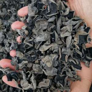 Mu Er, champignon séché sauvage d'Auricularia Auricula Underwood pour la consommation alimentaire - Product Image 1