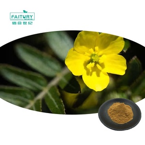 Faitury Wholesale Energy Booster <span class=keywords><strong>Tribulus</strong></span> Terrestris <span class=keywords><strong>Saponins</strong></span> 40% <span class=keywords><strong>Tribulus</strong></span> Terrestrisエキスパウダー - Product Image 1