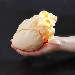 Impresión <span class=keywords><strong>3D</strong></span> modelo educativo médico Polyjet simulación de goma a todo color alta calidad transparente tamaño <span class=keywords><strong>real</strong></span> - Product Image 1