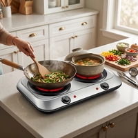 Mini cuisinière électrique multifonction à double brûleur classique en promotion avec commande à bouton pour usage domestique Prise AU/US
