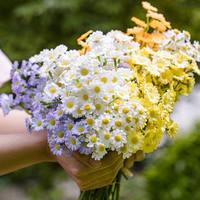 Bouquet de petites marguerites artificielles très tendance pour la décoration de salon – Art floral frais et simple pour bureau