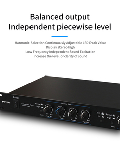 Processador de Áudio Profissional GAX-3000 Recordio com Excitador de Som de Material Metálico para Equipamentos de Áudio - Product Image 4