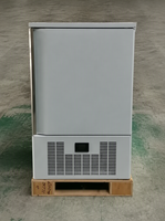 Congélateur-chiller commercial à 10 plateaux, à température unique, à refroidissement par air, pour congélation rapide de la viande, congélation rapide verticale, congélation rapide par choc