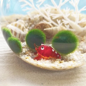 Figuras Miniatura de Animales Marinos Hechas a Mano en Vidrio, Decoración en Miniatura con Temática Marina, Paisajismo para Peceras, Set de Lindas Criaturas Marinas - Product Image 6